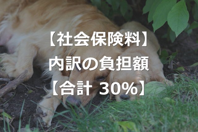 社会保険料の内訳と、負担額計算のしくみ【合計30%】